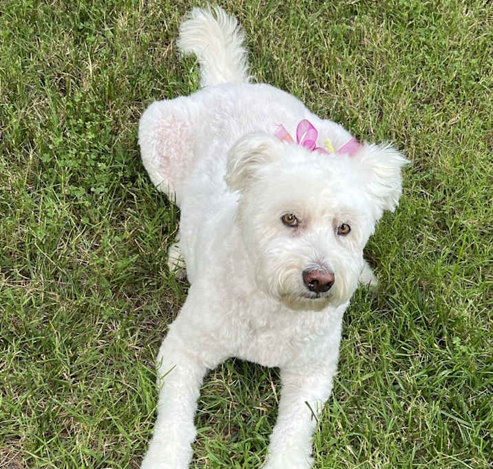 Photo of Molly