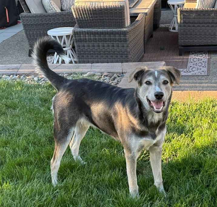 Photo of Tucker