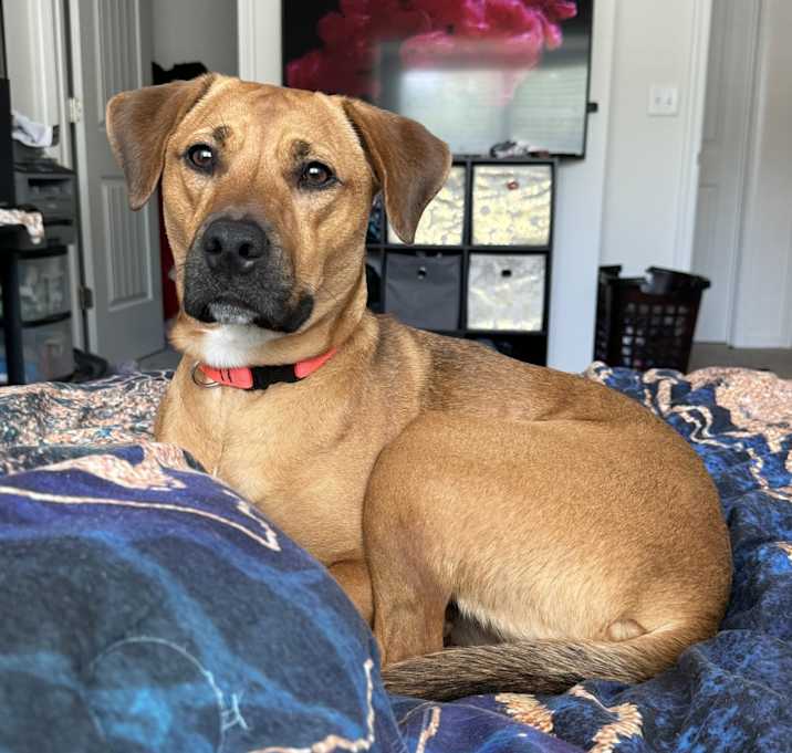 Photo of Lucy