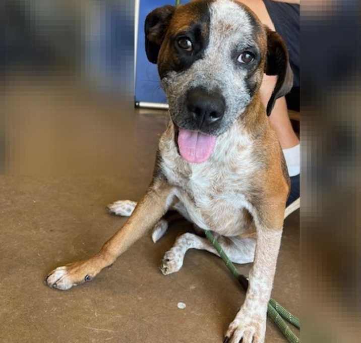 Photo of Oakley