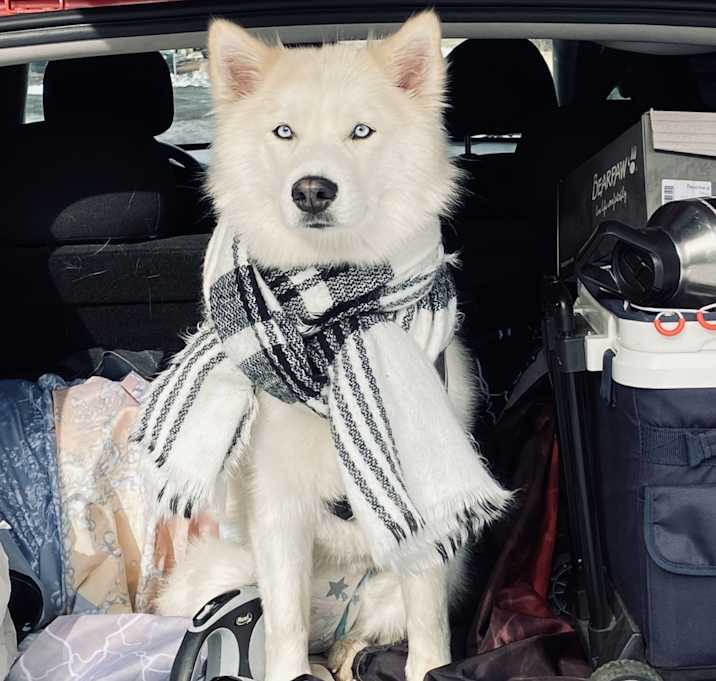 Photo of Lucy