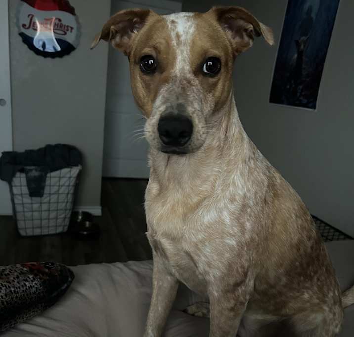 Photo of Nola