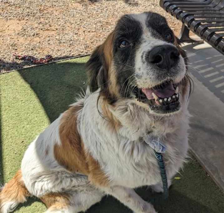 Photo of MATILDA