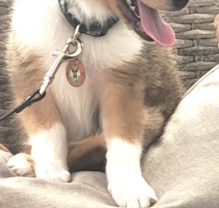 Photo of Theodore