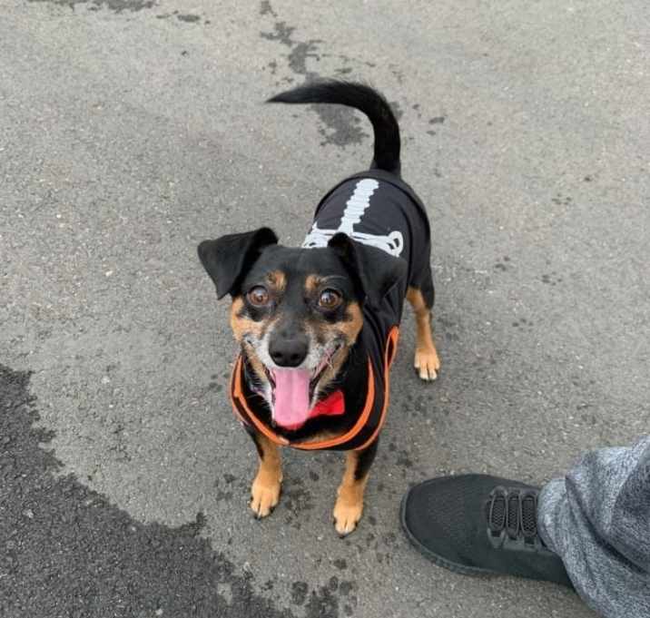 Photo of Zero