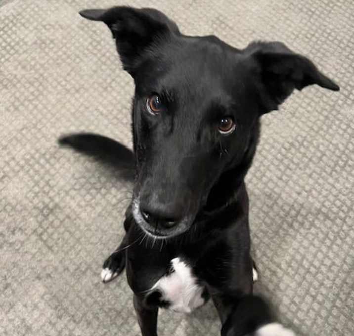 Photo of Jet