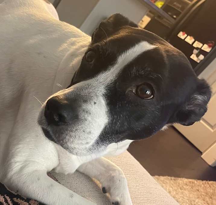 Photo of Mellie
