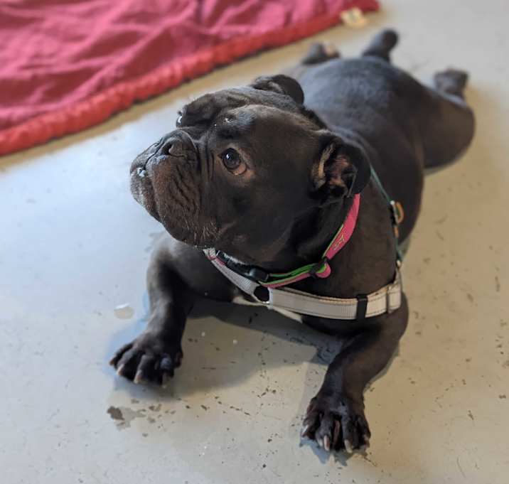Photo of Zara