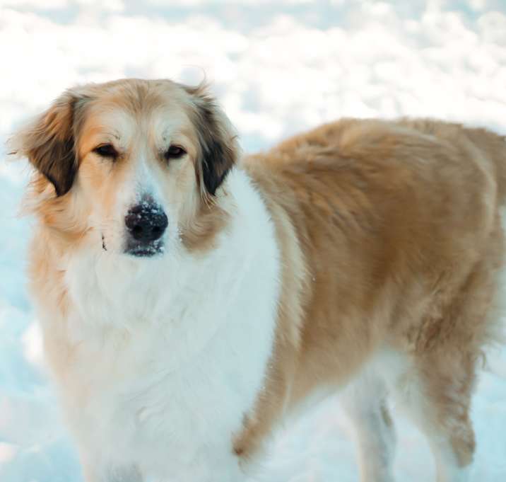 Photo of Elsa