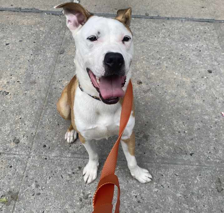 Photo of Bruce