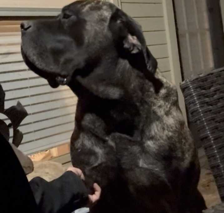 Photo of Gus