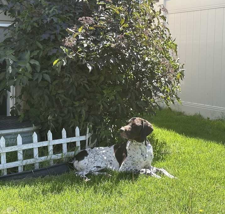 Photo of Cisco