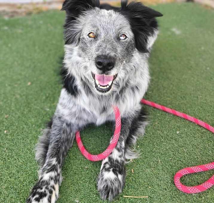 Photo of Harlow