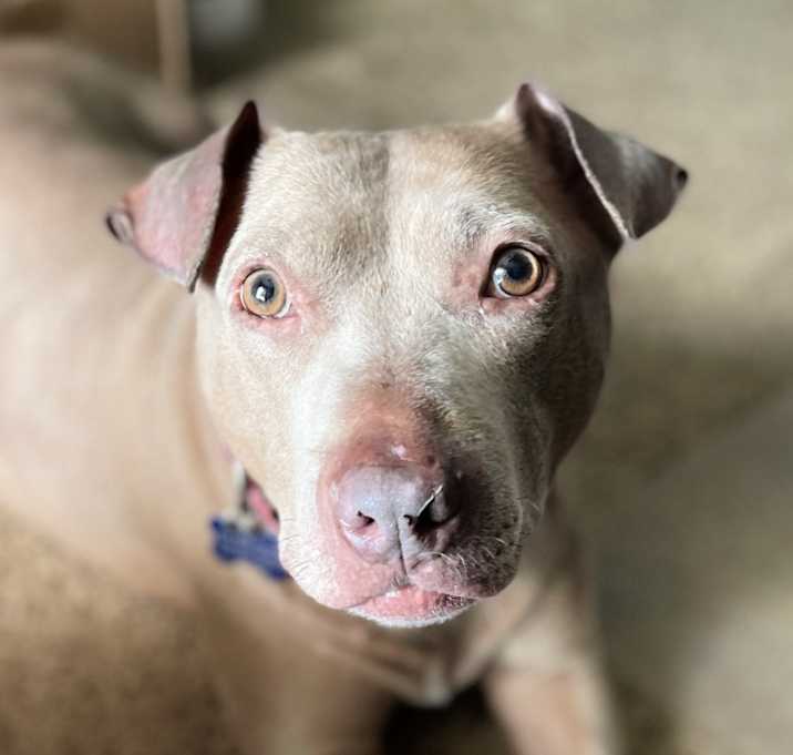 Photo of Faith