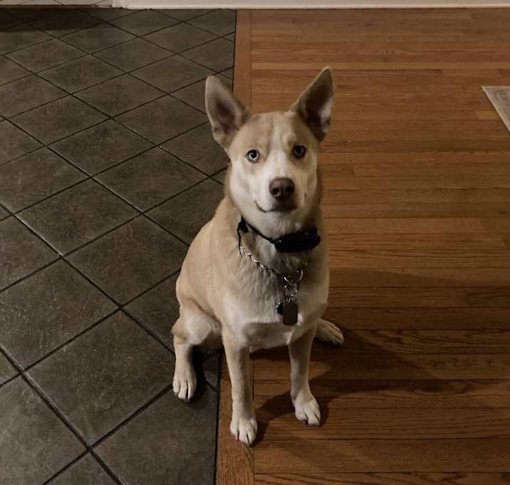 Photo of Argos