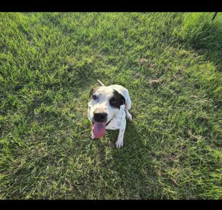 Photo of NEO