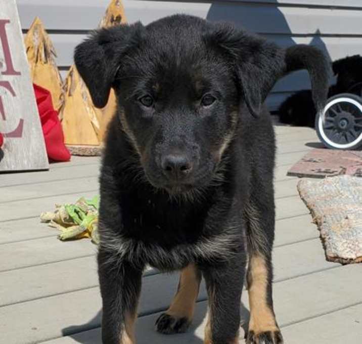 Photo of Maggie