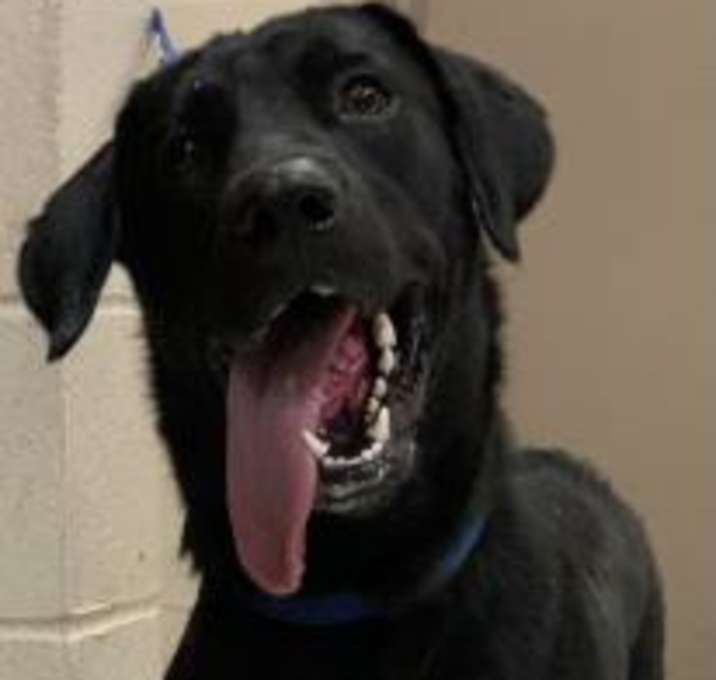 Photo of ZORRO