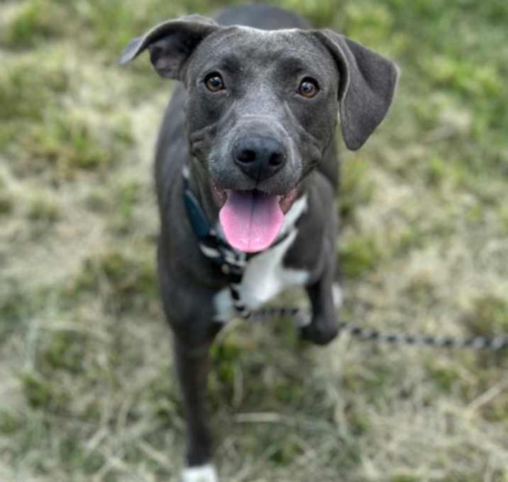 Photo of Mandy