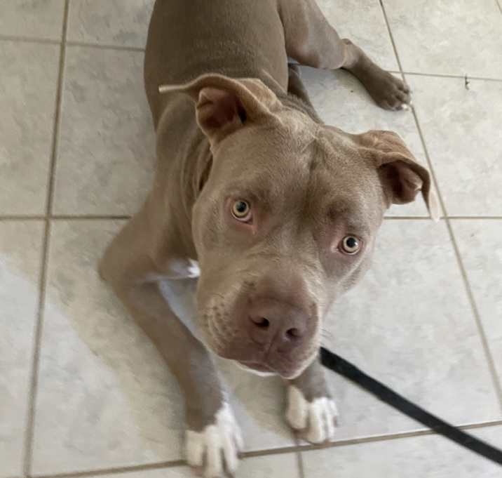 Photo of Bronx