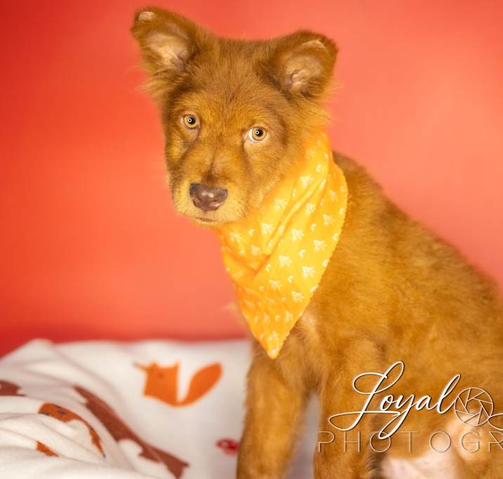 Photo of Todd