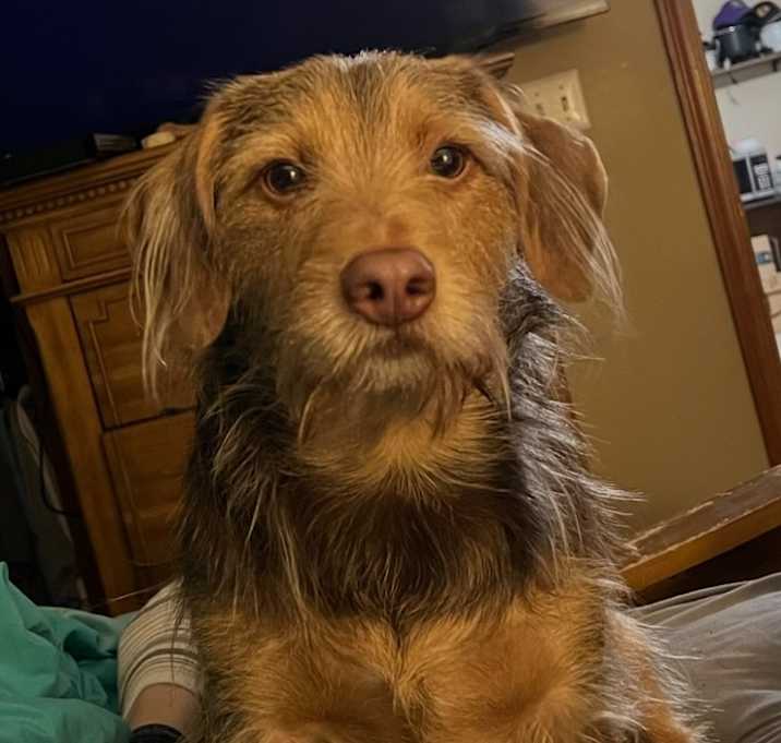 Photo of Jameson