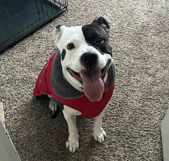 Photo of Mozzy