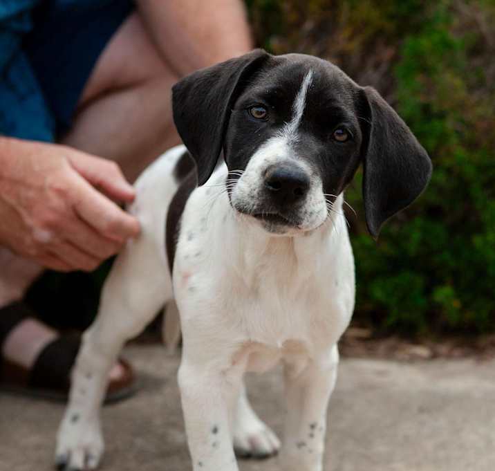 Photo of Mable