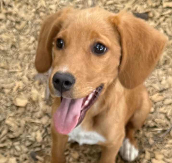Photo of Sally