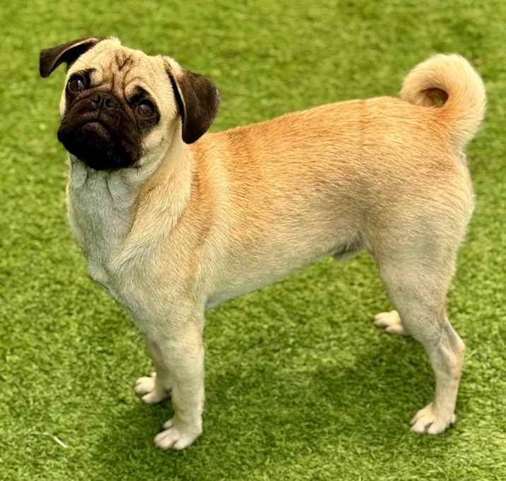 Photo of Arthur 25-06-104
