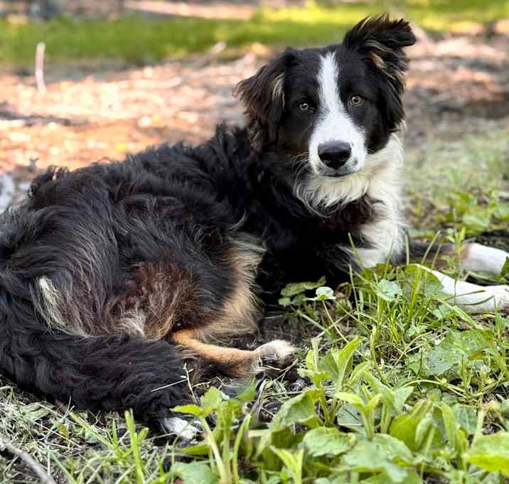 Photo of Atlas