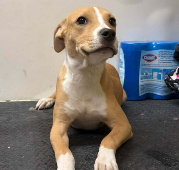 Photo of Reggie