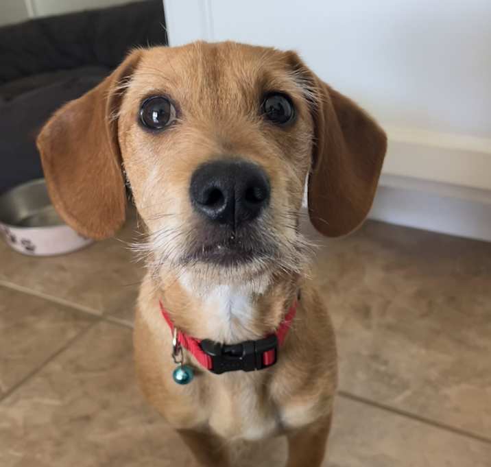 Photo of Benny