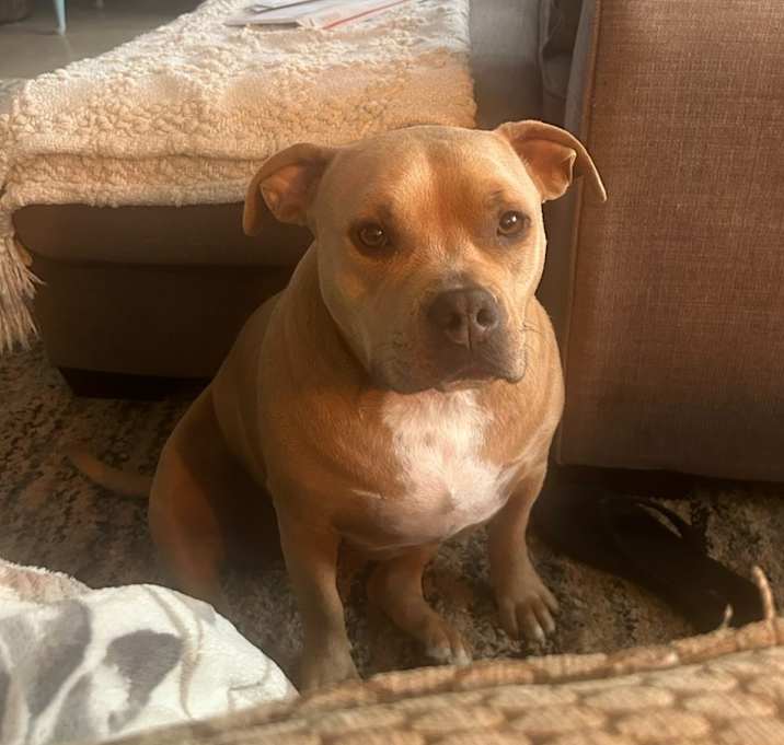 Photo of Hazel