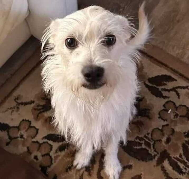 Photo of Nova