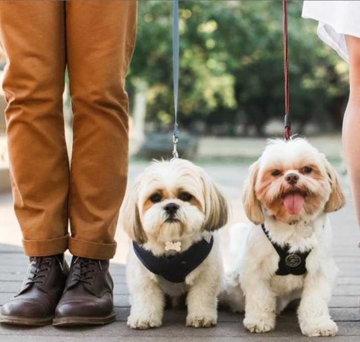 Photo of Petey and Ted