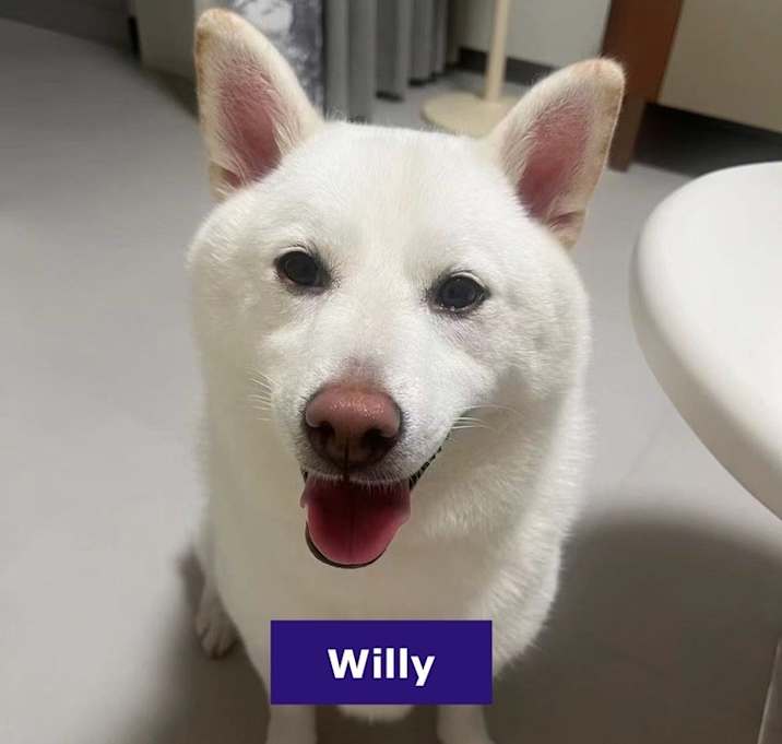 Photo of Willy