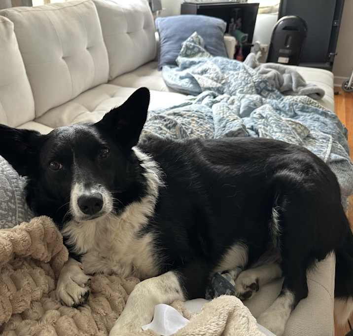 Photo of Cali