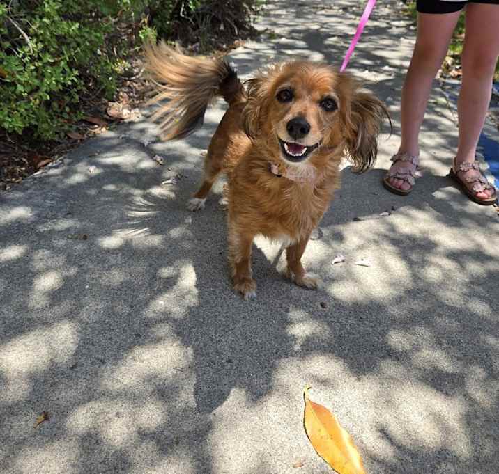 Photo of Lady