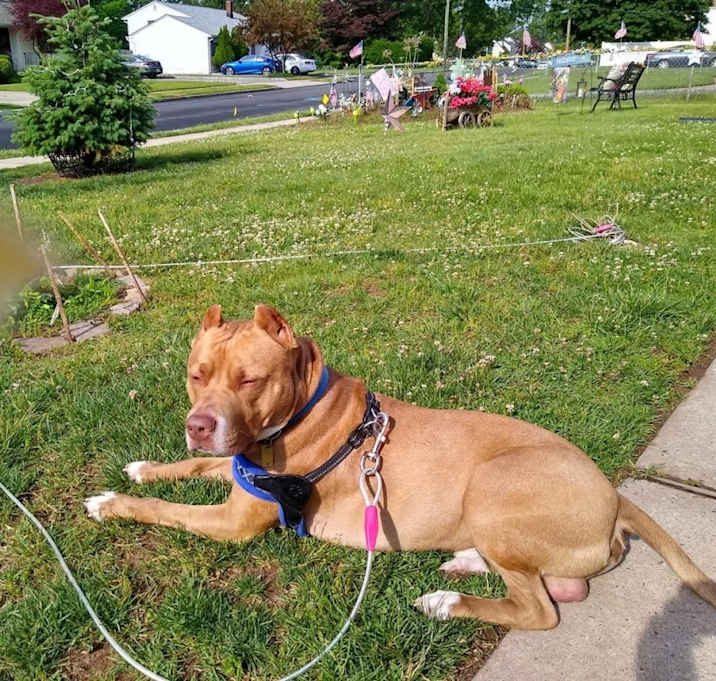 Photo of Duke