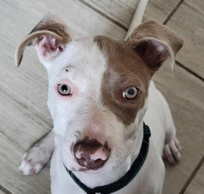 Photo of Marlin