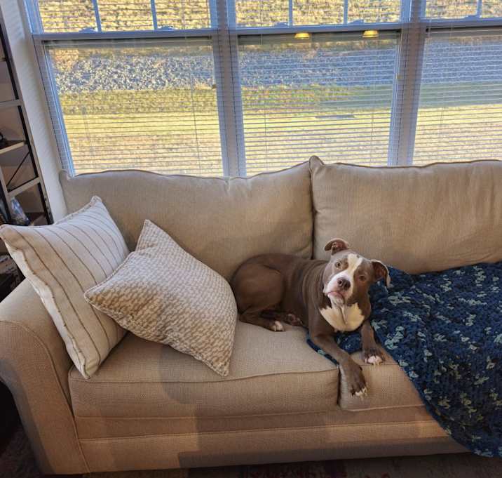 Photo of Ruby
