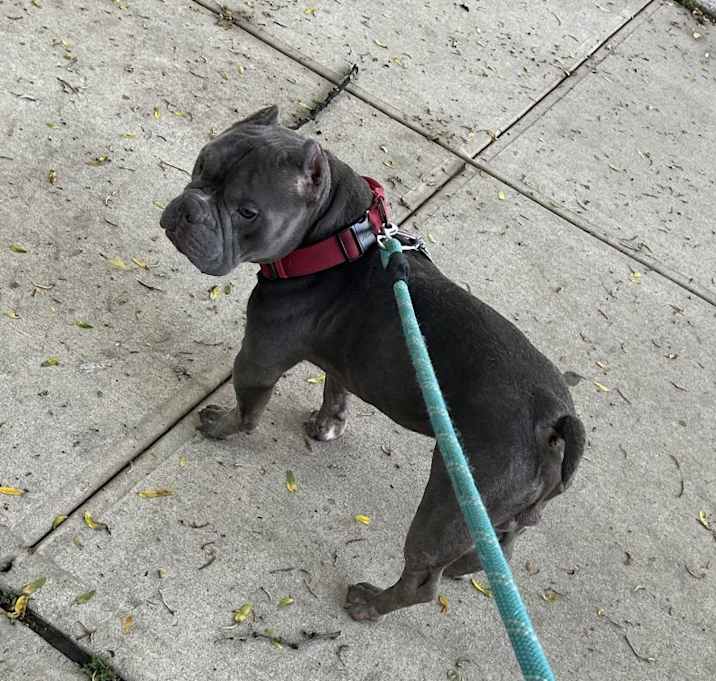 Photo of Blue