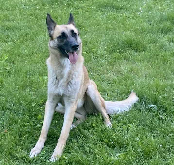 Photo of Lucy