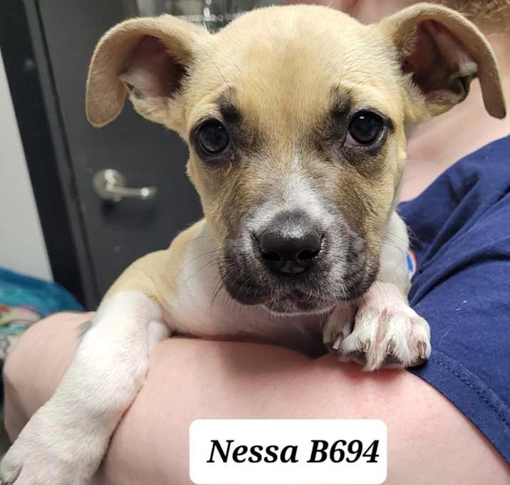 Photo of Nessa B694