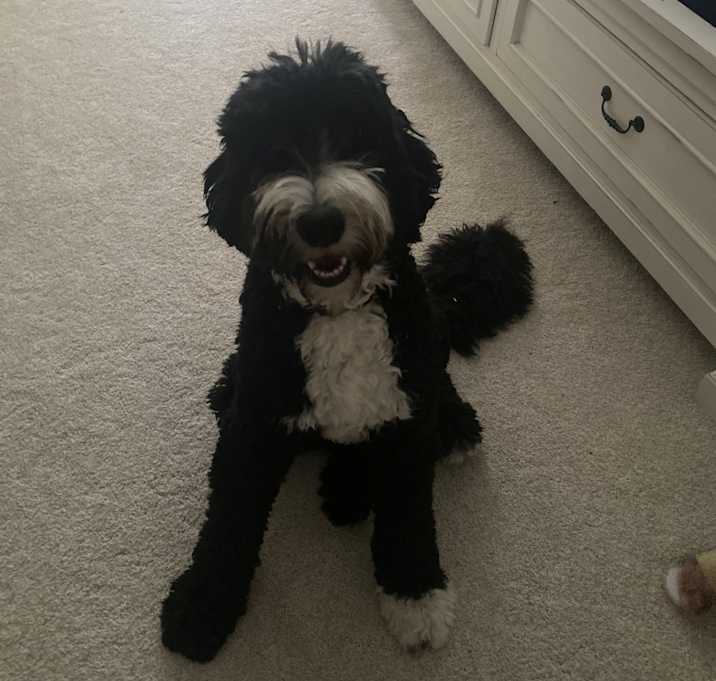 Photo of Smore