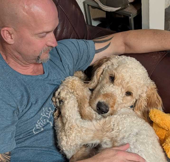Photo of Teddy