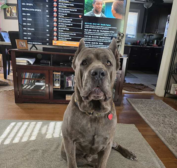 Photo of Ghost