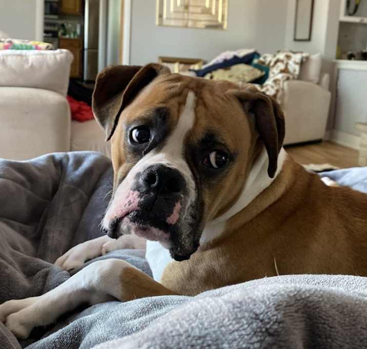 Photo of Oscar