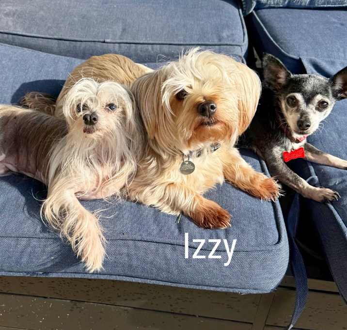 Photo of Izzy